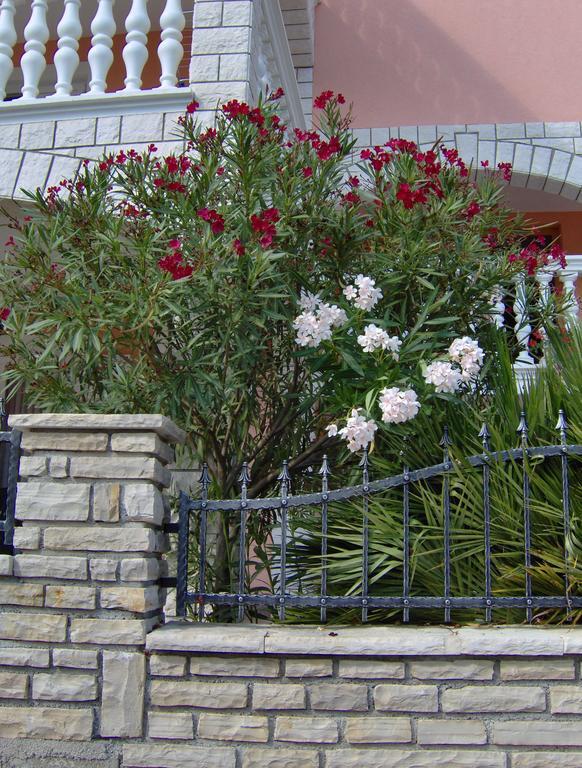 Apartments Tonimir Водице Экстерьер фото